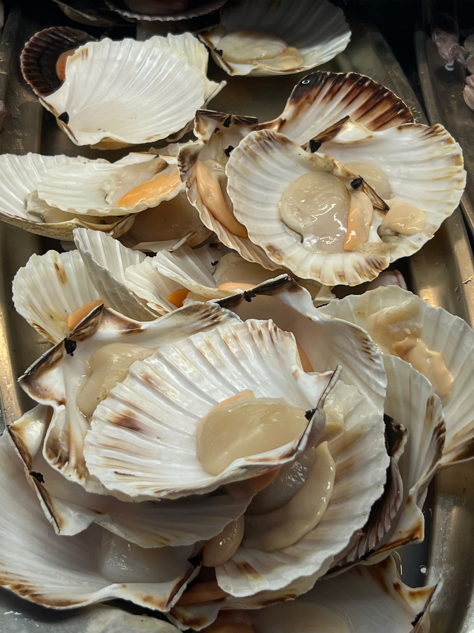 Atlantic live seafood supplier